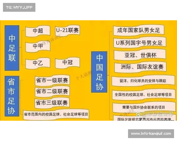 中国足球四级联赛体系逐步完善，升降级制度促进竞争